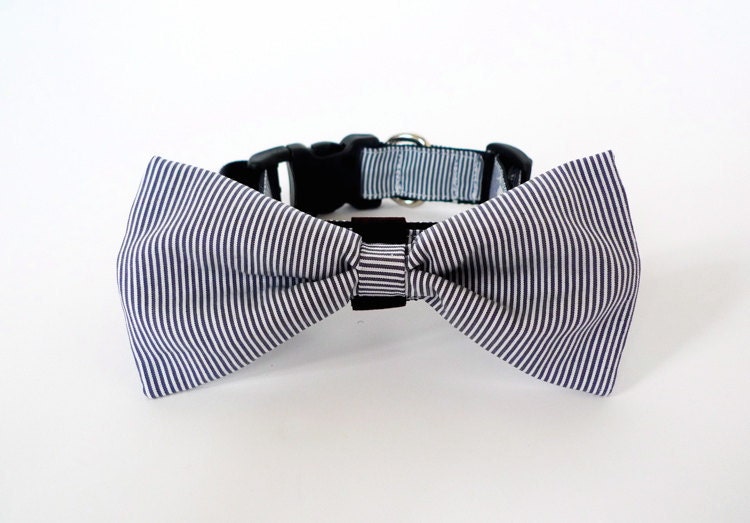 Bow tie collar -Pin stripe gray blue-